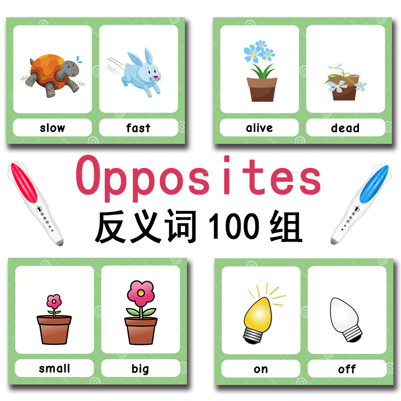 100 Kartu Flashcard Kata Bahas - English Kids Education ulasan dan harga