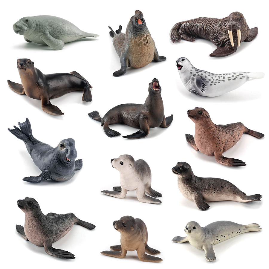 Figur Aksi Model Hewan Laut Re - Kids Education Picture ulasan dan harga