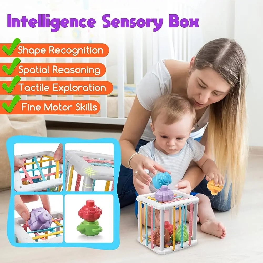 Mainan Edukasi Kognitif Pelati - Kids Education Toys ulasan dan harga