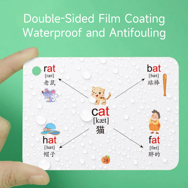 Kartu peta pikiran kata 600 de - Kids Education Card ulasan dan harga
