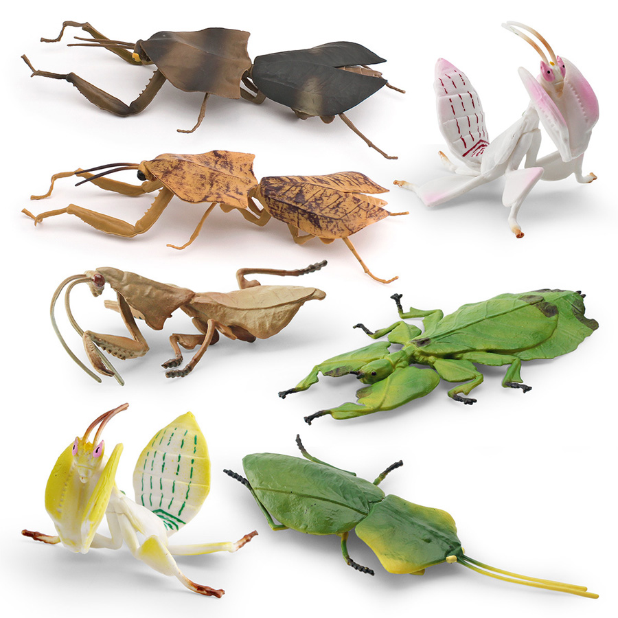 Model Figur Serangga Daun Raks - Kids Education Picture ulasan dan harga