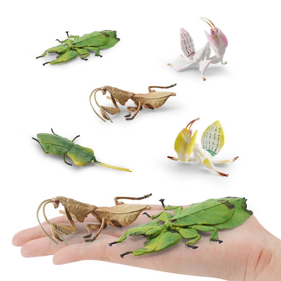 Model Figur Serangga Daun Raks - Kids Education Picture ulasan dan harga